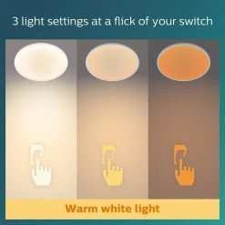 Philips Superslim Indoor Luminaire Flush To Ceiling Light -Habitat shop 1122547 R Z004A