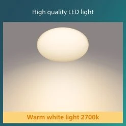 Philips Shan Indoor Motion Sensor Flush To Ceiling Light -Habitat shop 1122561 R Z004A