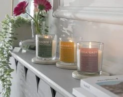 Habitat Scented Boxed Candle Set - Amber, Jasmine & Sea Salt -Habitat shop 2070959 R Z001C