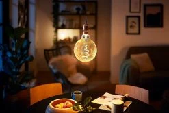 Philips LED Filament E27 6.5W (40W) Dim Giant Bulb + Cord -Habitat shop 8957935 R Z004A