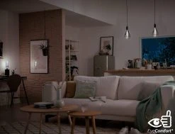 Philips LED Filament E27 6.5W (25W) Dim Giant Bulb - Smoky -Habitat shop 9200045 R Z004A