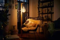 Philips LED Filament E27 6.5W (40W) Dim Giant Bulb - Gold -Habitat shop 9404573 R Z003A