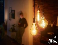 Philips LED Filament E27 6.5W (40W) Dim Giant Bulb - Gold -Habitat shop 9404573 R Z004A