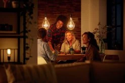 Philips LED Filament E27 6.5W (40W) Dim Giant Bulb - Gold -Habitat shop 9404573 R Z006A