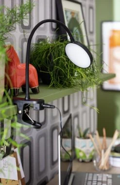 Habitat Mopsa Clip Lamp - Black -Habitat shop 9405338 R Z003C