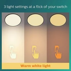 Philips Super Slim Flush To Ceiling Light - Black -Habitat shop 9454956 R Z006A